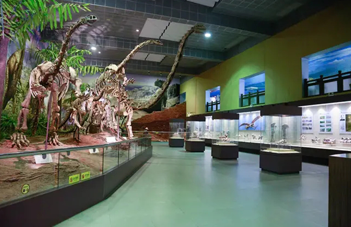 古生物展  / PALAEONTOLOGY EXHIBITION